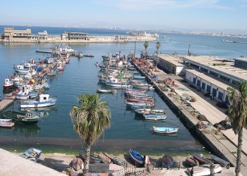 Alger