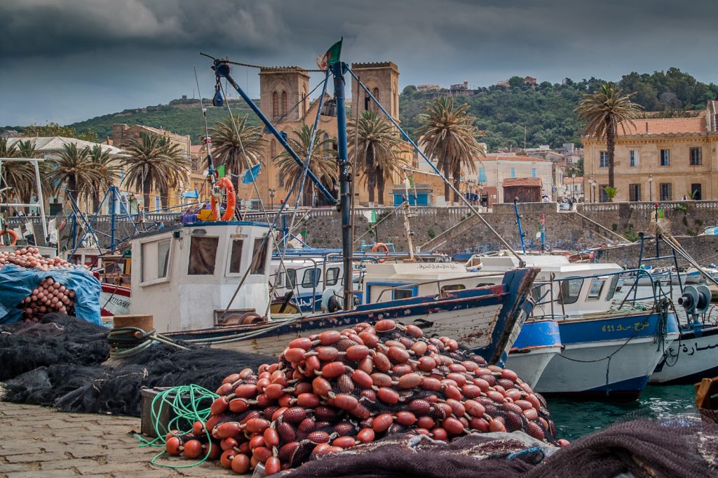 Loi sur les investissements et Pêche : Les instructions de Tebboune