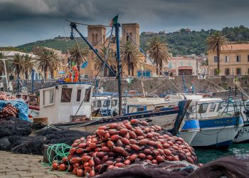 Loi sur les investissements et Pêche : Les instructions de Tebboune