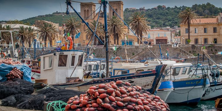 Loi sur les investissements et Pêche : Les instructions de Tebboune