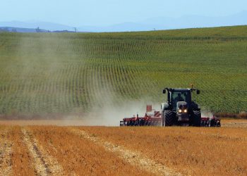 Agriculture : Une nouvelle feuille de route pour la relance