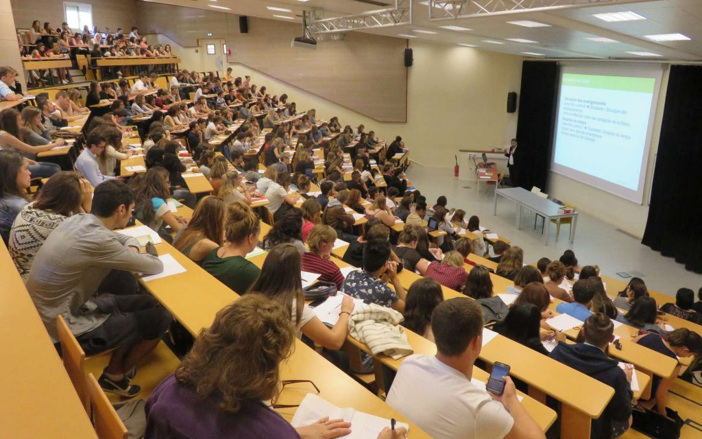 Insertion de jeunes diplômés universitaires : Les licences professionnelles à la rescousse
