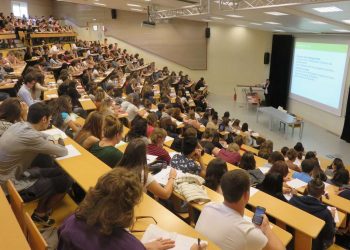 Insertion de jeunes diplômés universitaires : Les licences professionnelles à la rescousse