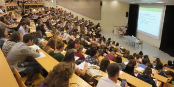 Insertion de jeunes diplômés universitaires : Les licences professionnelles à la rescousse