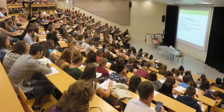 Insertion de jeunes diplômés universitaires : Les licences professionnelles à la rescousse
