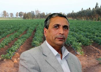 Akli Moussouni, expert senior/directeur des programmes du cabinet SIMDE : «Les aides à l&rsquo;investissement en contexte d&rsquo;anarchie ne peuvent être que stériles»
