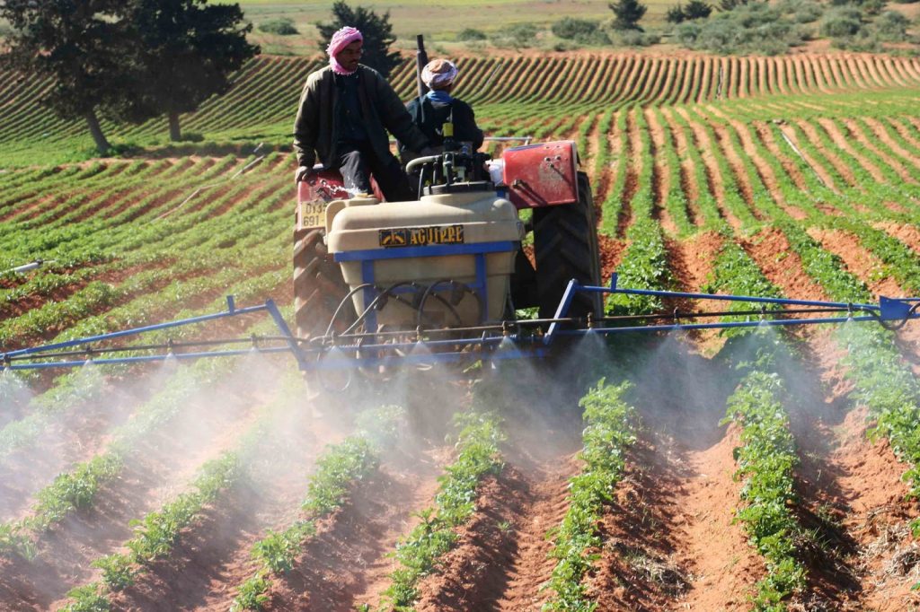 Rencontre nationale sur l’assainissement du foncier agricole : Vers une régularisation avant fin 2025