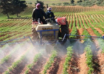 Rencontre nationale sur l’assainissement du foncier agricole : Vers une régularisation avant fin 2025