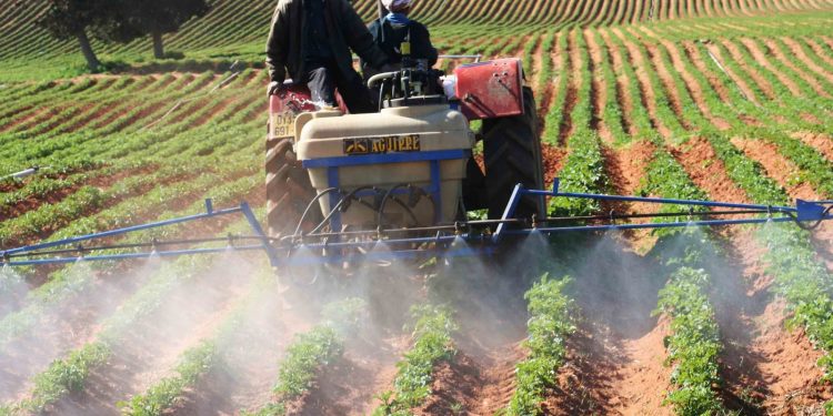 Rencontre nationale sur l’assainissement du foncier agricole : Vers une régularisation avant fin 2025