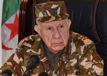Saïd Chengriha, chef d'Etat Major de l'armée nationale populaire