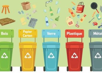 Un salon virtuel sur la gestion des déchets en décembre : Un fort potentiel économique en jachère