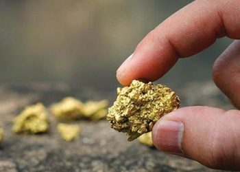 Exploitation aurifère : 57 entreprises de jeunes retenues