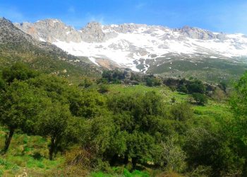 Intégrée dans l’effort de développement agricole du pays : L’appel de la montagne