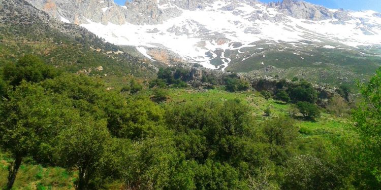 Intégrée dans l’effort de développement agricole du pays : L’appel de la montagne