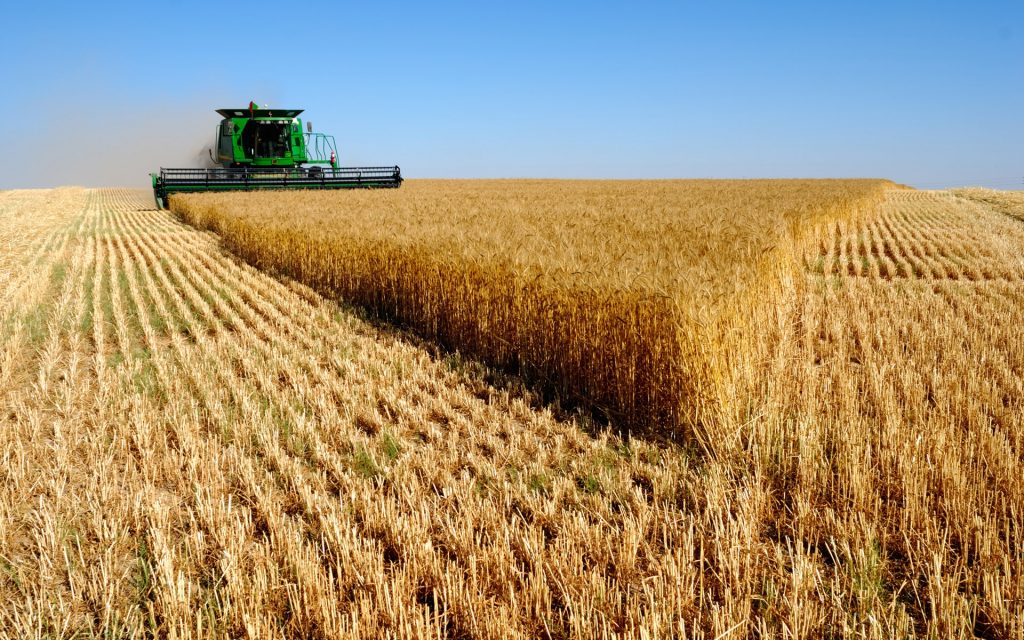 Agriculture Algérie