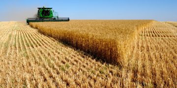 Agriculture Algérie