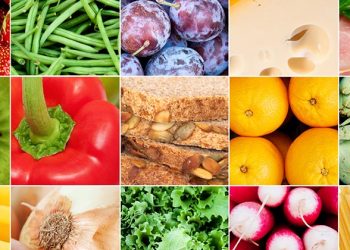 Développement régional et sécurité alimentaire : L’impératif d’une « équité » entre Nord et Sud