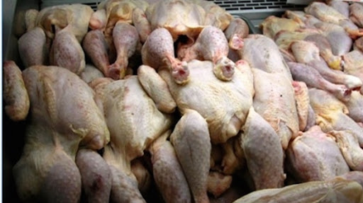 Point de situation de la filière avicole au troisième trimestre 2022 : Hausse des prix 70% pour le poulet et 14% pour les œufs