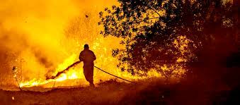 Lutte contre les feux de forêts : Une nouvelle stratégie pour de nouveaux défis