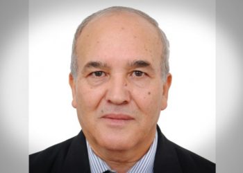 La problématique de la finance islamique comme moyen d’intégration du capital-argent de la sphère informelle : Eviter les utopies