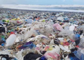 Déchets solides sur le littoral : Un «désastre» passé sous silence