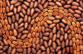 Plantes oléagineuses: Production de 30% des besoins nationaux au niveau local à 2024