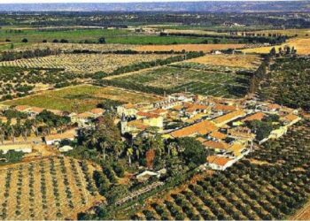 Attatba (Tipaza) : La plaque tournante des fruits et légumes
