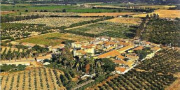 Attatba (Tipaza) : La plaque tournante des fruits et légumes
