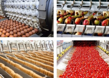 Secteur agro-alimentaire : Attitudes, comportements et attentes d’un panel d’exportateurs algériens (1ère partie)