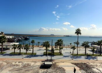 Saison estivale 2024 : La nécessité de relever la qualité des prestations au port d’Alger soulignée