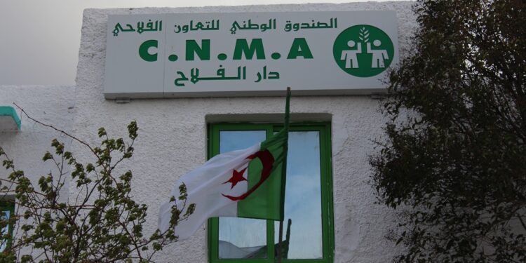 CNMA