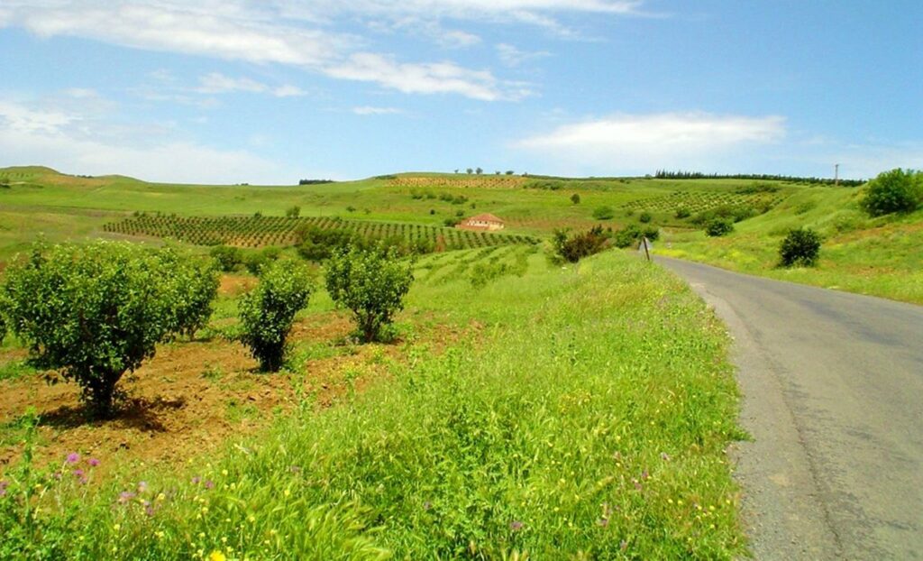 Fermes à Si Mahdjoub près de Médéa
