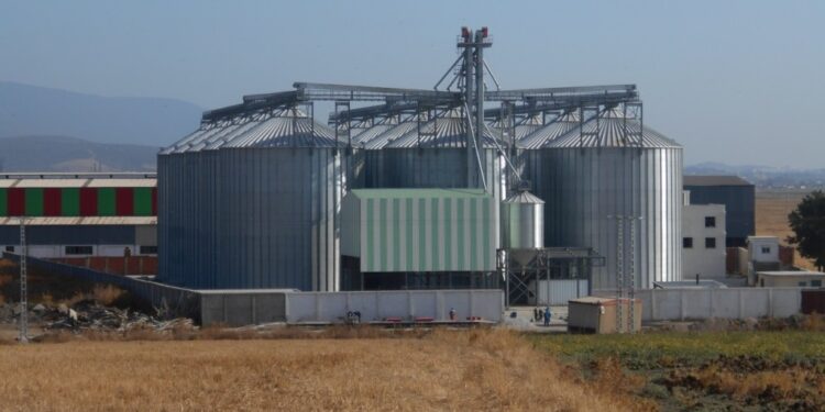 Silo de stockage de céréales