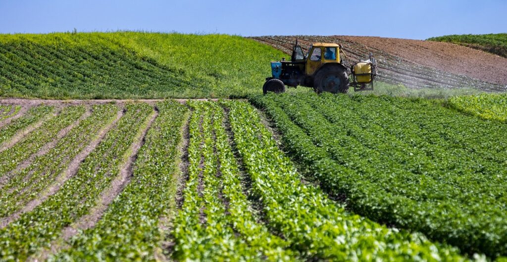 Intégration agriculture-élevage : Un système à renforcer en Algérie