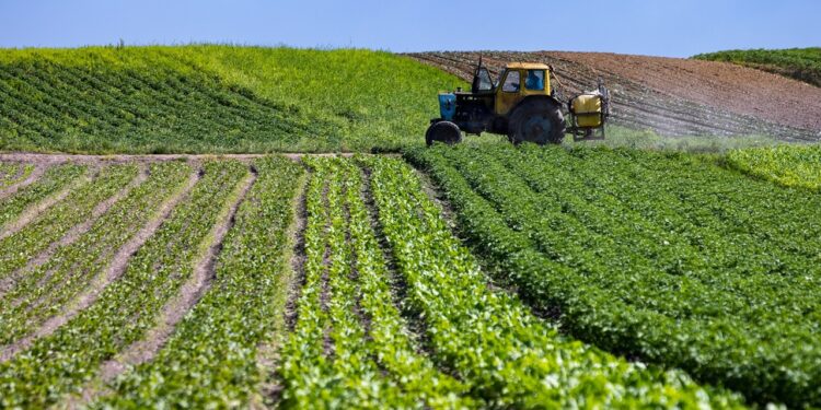 Intégration agriculture-élevage : Un système à renforcer en Algérie
