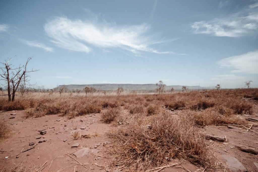 Désertification : L’Afrique, première victime des changements climatiques