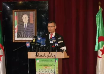 Le Directeur général de l'Agence algérienne de promotion de l'investissement (AAPI), Omar Rekkache