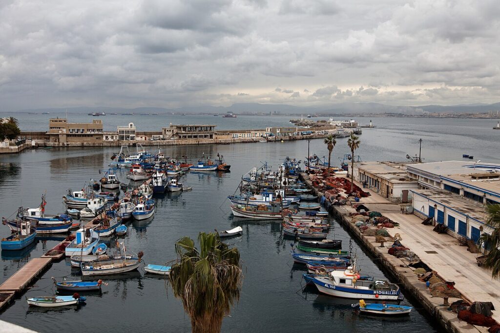 Aménagement de la baie d'Alger : Badani affirme la prise en charge des préoccupations des pêcheurs