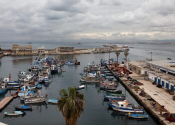 Aménagement de la baie d'Alger : Badani affirme la prise en charge des préoccupations des pêcheurs