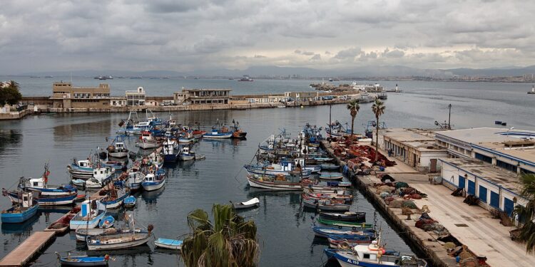 Aménagement de la baie d'Alger : Badani affirme la prise en charge des préoccupations des pêcheurs