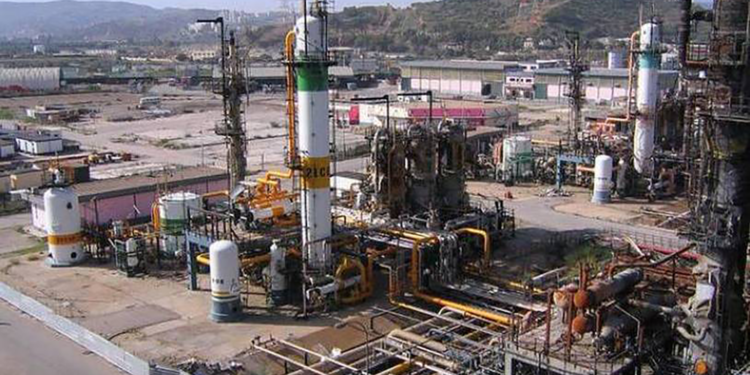 Des projets de développement de la pétrochimie en cours de réalisation : Un fer de lance de l’économie nationale