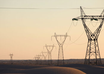 Ouargla : Près de 350 exploitations agricoles raccordées au réseau d’électricité (Sonelgaz)