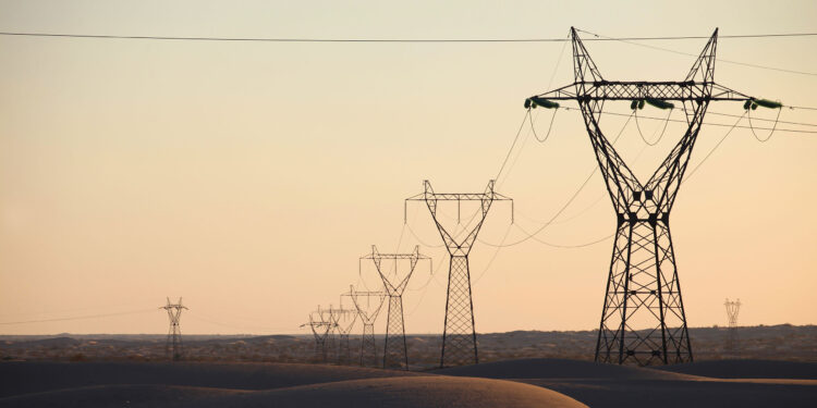 Ouargla : Près de 350 exploitations agricoles raccordées au réseau d’électricité (Sonelgaz)
