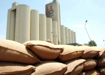 Produits alimentaires de base en Algérie : Un stock stratégique suffisant pour plus d'une année