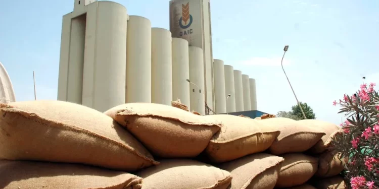 Produits alimentaires de base en Algérie : Un stock stratégique suffisant pour plus d'une année