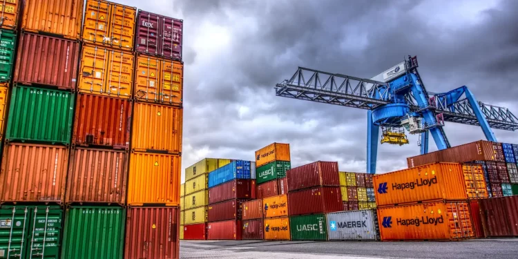 La concession et la gestion des zones franches définies : Cap sur le marché africain