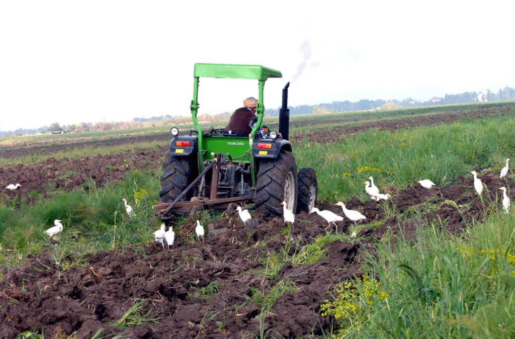 Vulgarisation et communication en milieu rural : Levier majeur du développement agricole