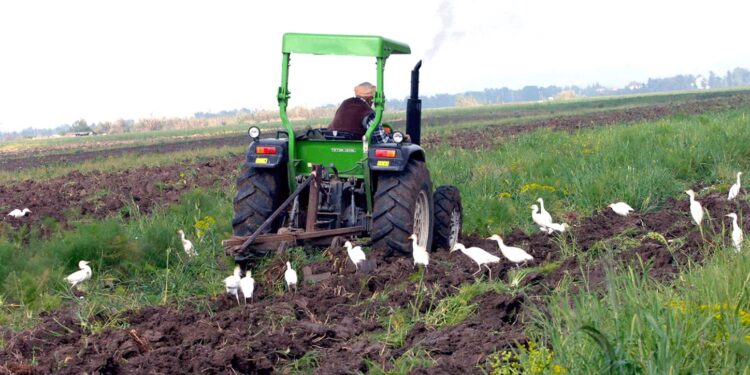 Vulgarisation et communication en milieu rural : Levier majeur du développement agricole