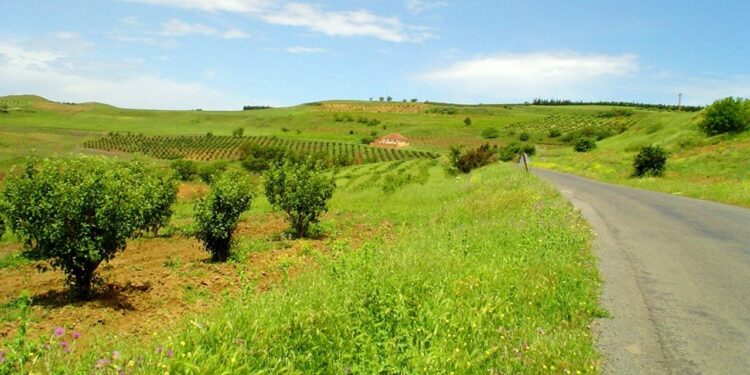 Recensement général de l&rsquo;agriculture (RGA) : L’opération prolongée jusqu&rsquo;au 27 juillet en cours