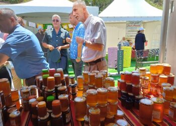 Une vingtaine d'exposants à la première Foire des produits agricoles du terroir à Azeffoun
